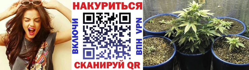 Купить наркотик аптеки Старая Купавна АМФЕТАМИН Каннабис Кокаин МЕФ КЕТАМИН ГАШ