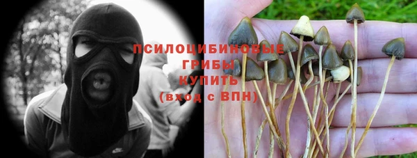 эйфоретик Алексеевка