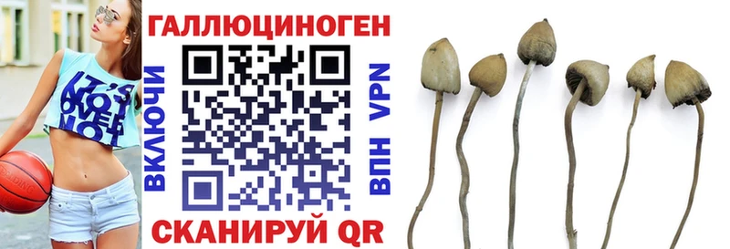 купить наркотики сайты Старая Купавна Галлюциногенные грибы GOLDEN TEACHER