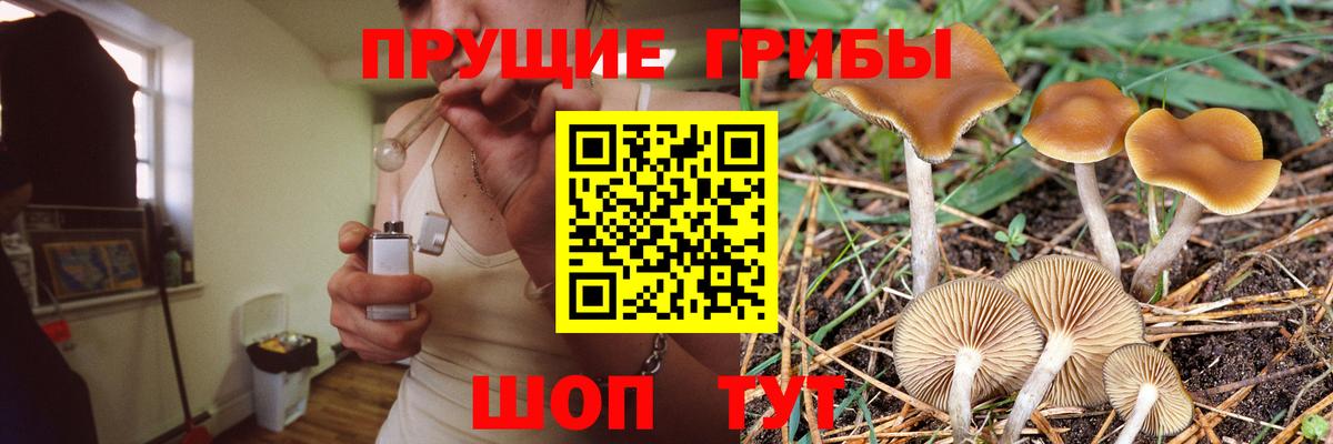 Псилоцибиновые грибы ЛСД Старая Купавна