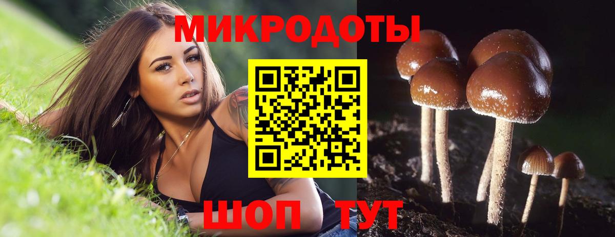 Псилоцибиновые грибы ЛСД  Псилоцибиновые грибы прущие грибы  Старая Купавна  Вход с VPN 